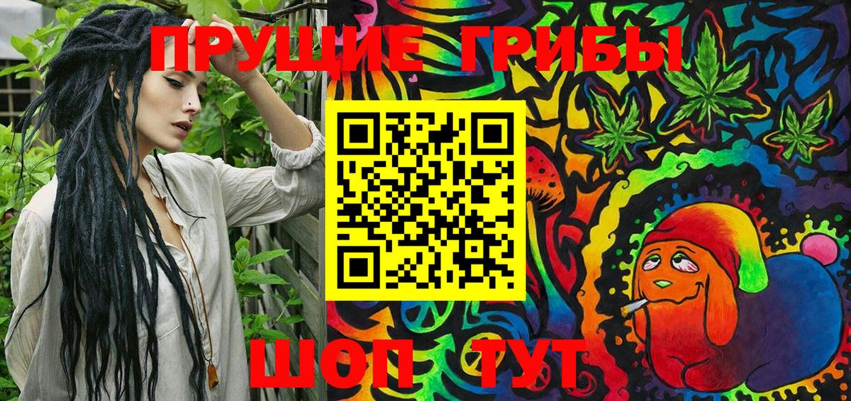 Сунжа  Галлюциногенные грибы GOLDEN TEACHER  Вход с VPN 